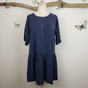 Doe & Rae drop waist distressed chambray dress